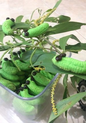 Foto resep Caterpillar cookies keju