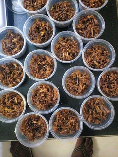 A picture of Dambun Nama 🍖.