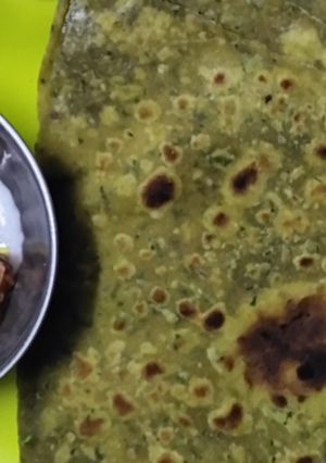 टेस्टी पूदिना लहसुन पराठा रेसिपी मुख्य फोटो