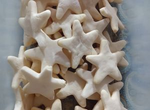 Una foto de Estrellitas sin gluten