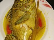 Gambar kerapu kuah kuning