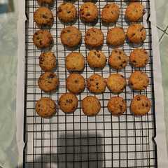 รูปของ CLASSIC COOKIES, SEMUA PASTI SUKAAA !!!