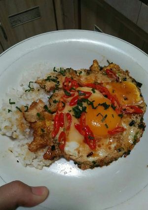 Foto resep Nasi Telur Pontianak
