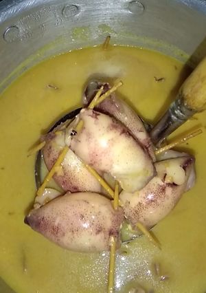 Foto resep Gulai cumi-cumi isi