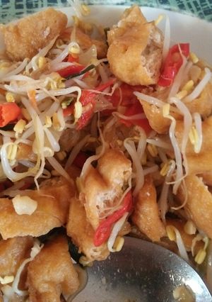 Foto resep Tumis tauge tahu