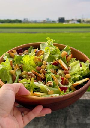蔬菜沙拉 的食譜成品照片