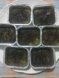 Bolu kukus puding nutrijel