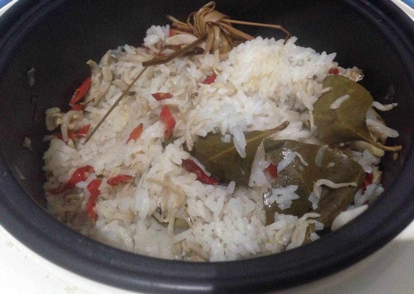 Nasi hidup di spons lapangan