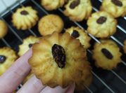 Hình ảnh của coconut cookies