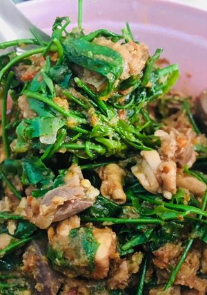 รูปของ แกงไก่ผักหวานป่า