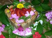 Une photo de fraise boudoirs