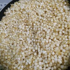 A picture of Sabudana kichidi.