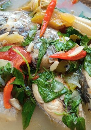 Foto resep Sup Ikan Manado