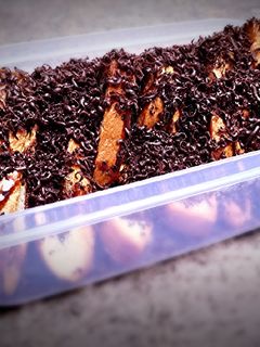Foto resep Roti bakar teflon
