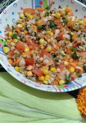 हिरव्या मुगाचे सलाद (कडधान्य) (Green Moong Salad Recipe In Marathi) रेसिपी चे मुख्य फोटो 