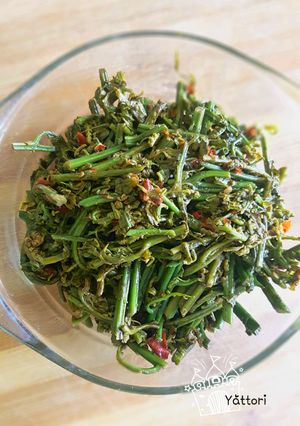 Foto resep Tumis Paku (Pakis)