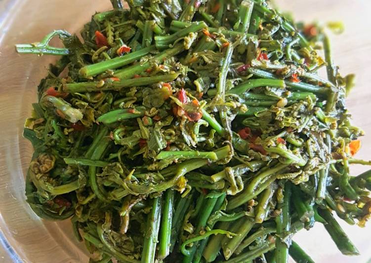 Tumis Paku  (Pakis)