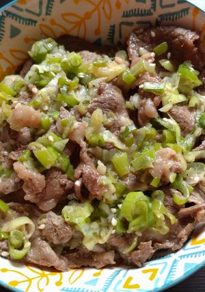 蔥燒醬牛肉 的食譜成品照片