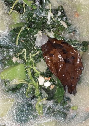 Foto resep Bobor bayam dan labu siam