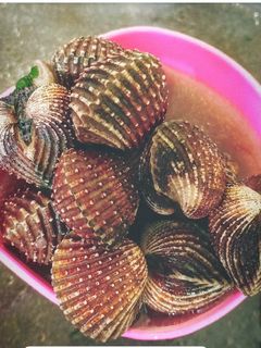 Foto resep Sup kerang dara