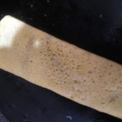 A picture of Dosa🌮.