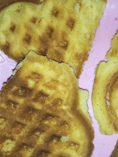 A picture of Waffles.
