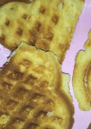 A picture of Waffles.