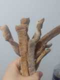 Grisines caseros facilísimos! sabor fugazza