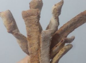 Una foto de Grisines caseros facilísimos! sabor fugazza