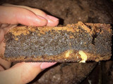 🍫Fugdy Brownie 🍫