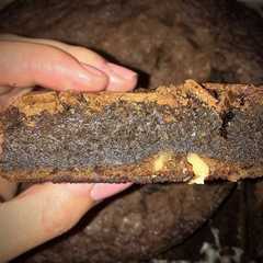 A picture of 🍫Fugdy Brownie 🍫.