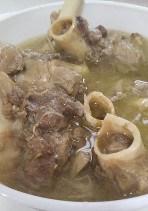 Gambar Sup Gear Box Kambing