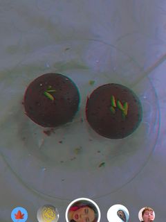 عکسی از دستور کیک فنجونی 🍰