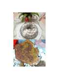 Torta al the macha e cioccolato