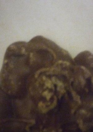 A picture of Chocolate cover cashew.