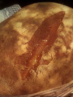 Una foto de Pan de Kamut