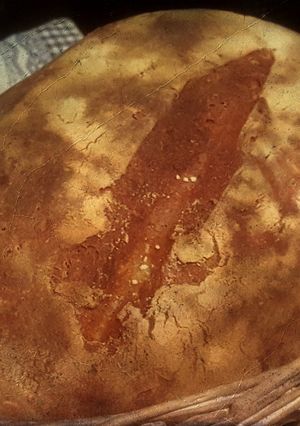 Una foto de Pan de Kamut
