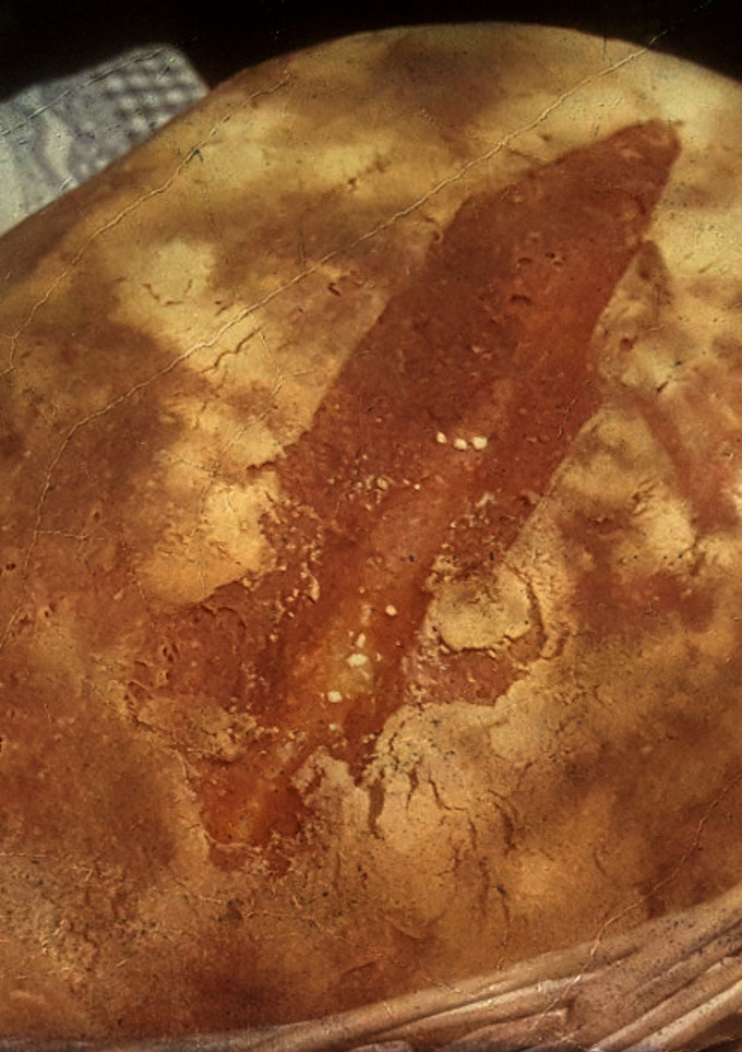 Una foto de Pan de Kamut