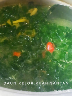 Foto resep Sayur kelor kuah santan