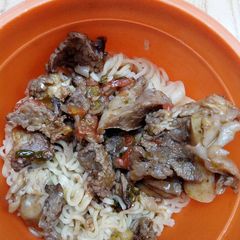 A picture of Beef stew and noodles.
