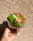 Mediaterianian fattoush salad