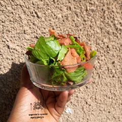 A picture of Mediaterianian fattoush salad.