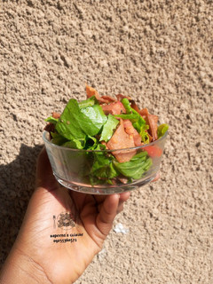 A picture of Mediaterianian fattoush salad.