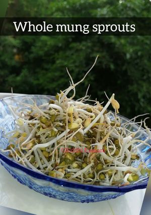 ચટપટા મગ(chatpata moong recipe in gujarati) રેસીપી મુખ્ય ફોટો