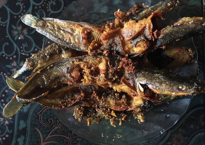 Wajib coba! Bagaimana cara memasak Lele Goreng dijamin lezat