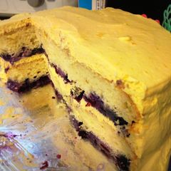 A picture of Blueberry and mango mousse cake.