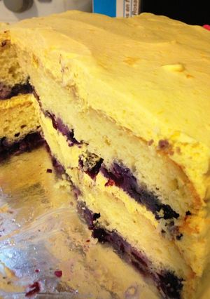 A picture of Blueberry and mango mousse cake.