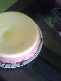 Flan gelatinoso
