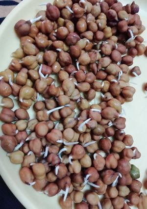 A picture of Chana Sprouts.