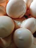 Bánh men đường